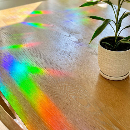 Rainbow Making Monstera Suncatcher Window Decal  Sticker