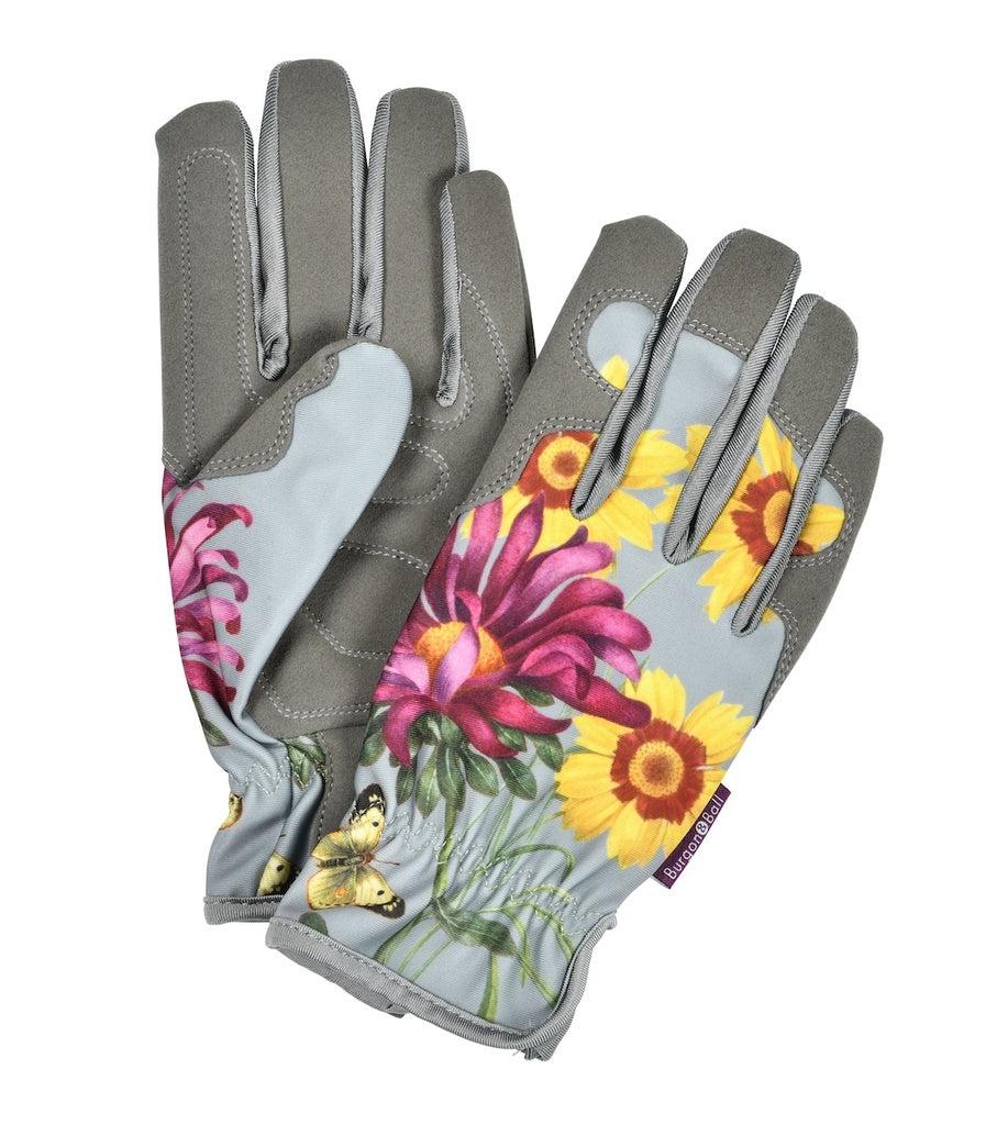 Gloves - Asteraceae