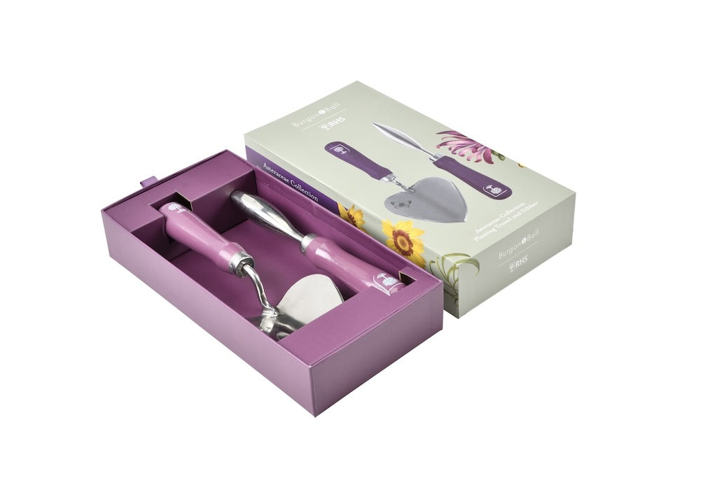 Gift Boxed - Asteraceae Planting Trowel &amp; Dibber