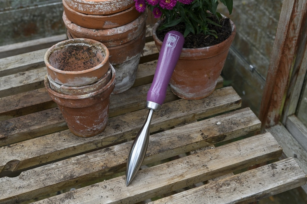 Gift Boxed - Asteraceae Planting Trowel &amp; Dibber